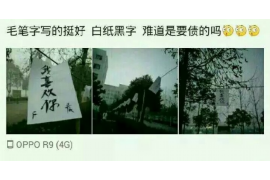 惠山为什么选择专业追讨公司来处理您的债务纠纷？